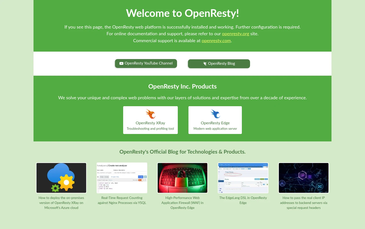 OpenResty 页面快照